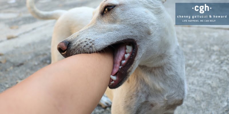 dog bite injuries